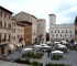 todiinfiore2.jpg