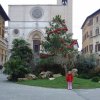 dsc00967