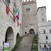 todiinfiore3