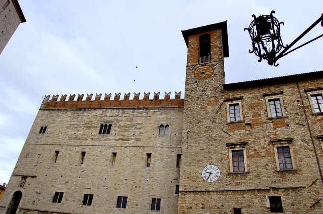 todi-pzza-garibaldi-2