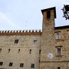 todi-pzza-garibaldi-2