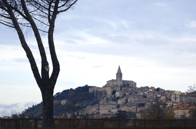 todi