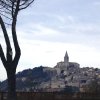 todi